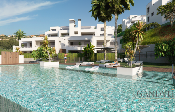 property_221811_202