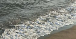 Apartment en Marbella Referencia gandy035