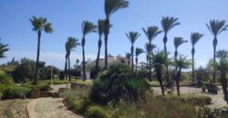 Plot en Sotogrande Referencia gandy056