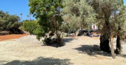 Plot en Marbella Referencia gandy086