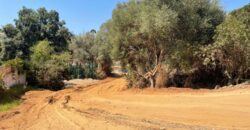 Plot en Marbella Referencia gandy086