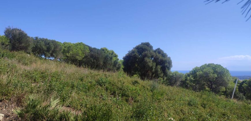 Plot en Sotogrande Referencia gandy087