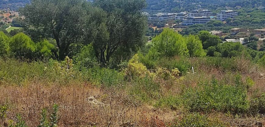 Plot en Sotogrande Referencia gandy087_d1_d1