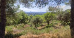Plot en Sotogrande Referencia gandy087_d1