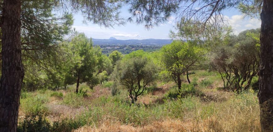 Plot en Sotogrande Referencia gandy087_d1