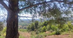 Plot en Sotogrande Referencia gandy087
