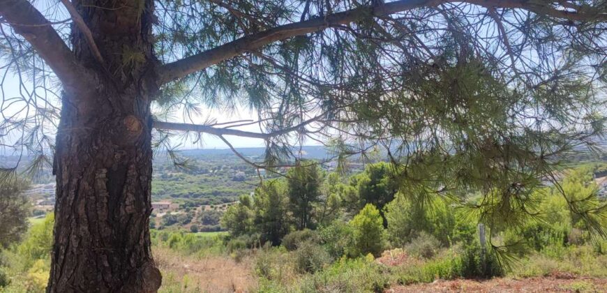 Plot en Sotogrande Referencia gandy087