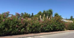 Plot en Marbella Referencia gandy142